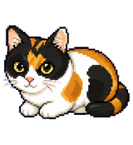 Calico